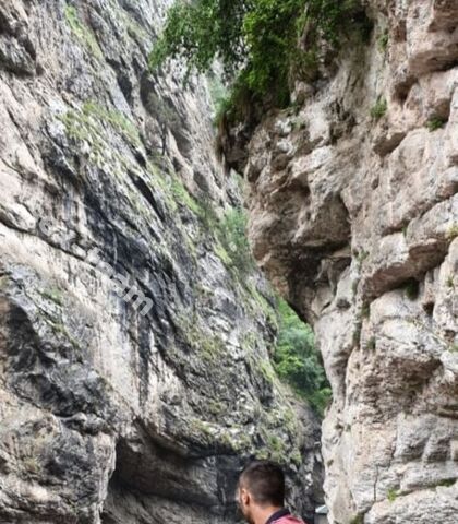 Проститутка Srrzh